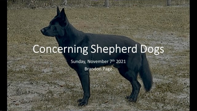 11.07.21 - Brandon Page - Concerning Shepherd Dogs - Message Only